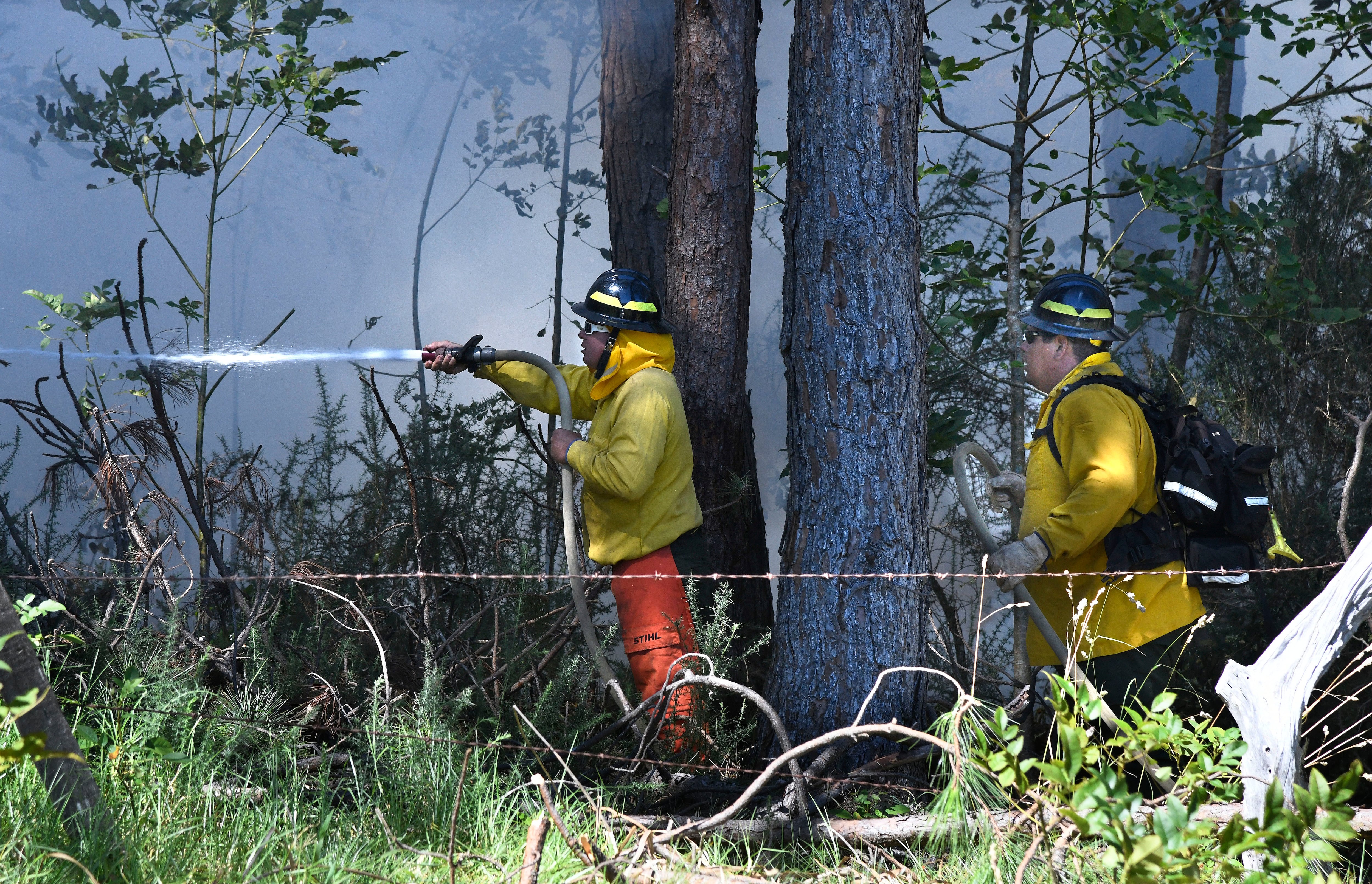 Members of a Hawaii Department of Land and Natural Resources wildland firefighting crew on Maui battle a fire in Kula, Hawaii, on Tuesday, Aug. 8, 2023.