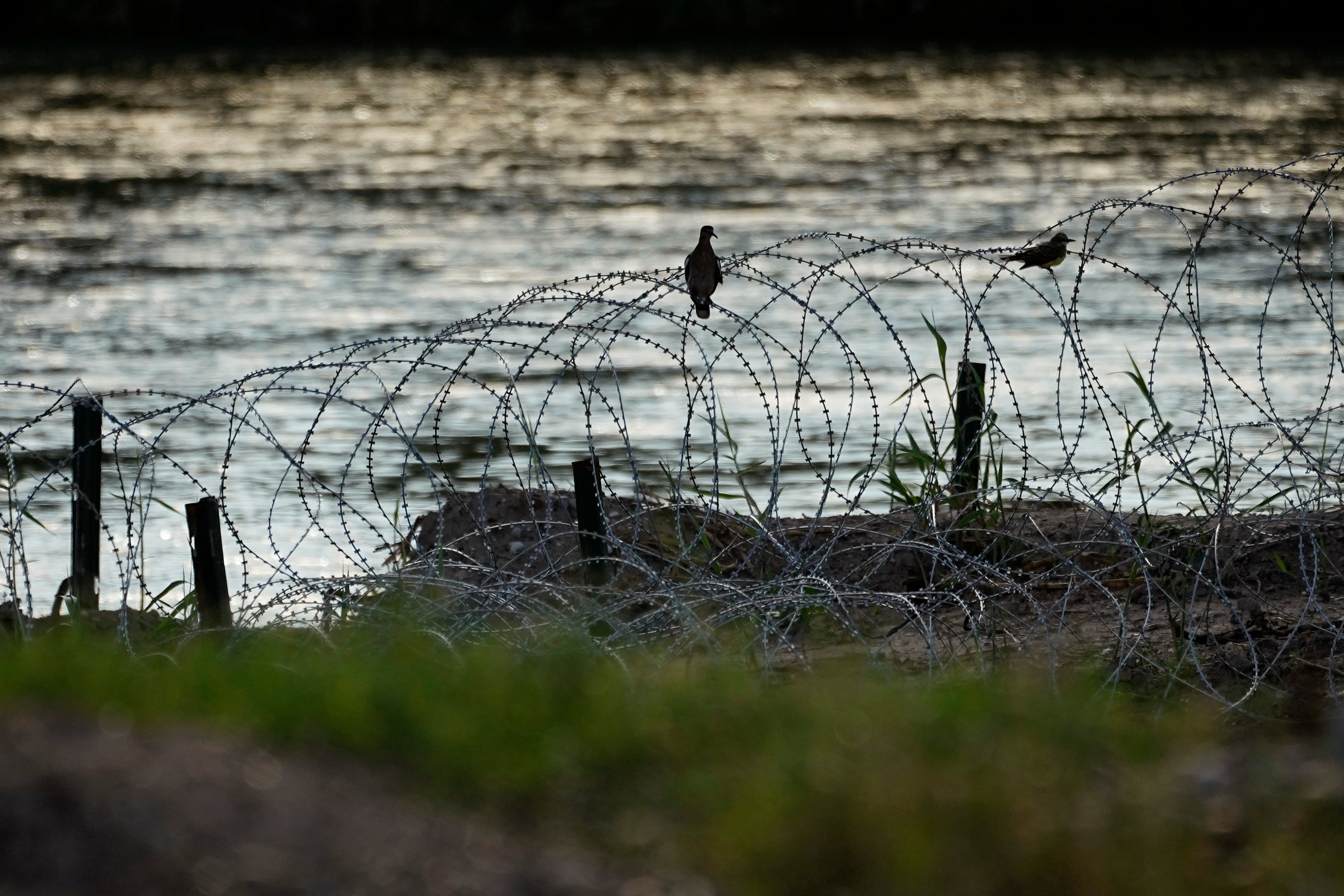 Birds rest on concertina wire, or razor wire, along the Rio Grande in Eagle Pass, Texas, July 6, 2023.